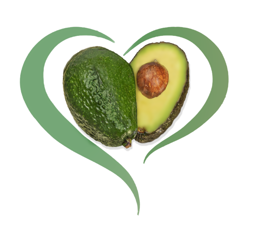 Avocado WHITE BACKGROUND MUST COPY PASTE TO SEE WHITE BACKGROUND 1