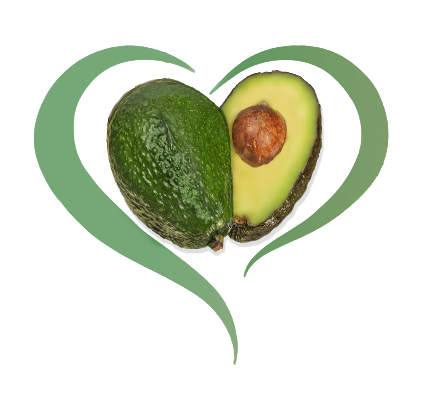 Avocado WHITE BACKGROUND MUST COPY PASTE TO SEE WHITE BACKGROUND 1